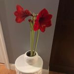 Patsy Ray-Mccomas - @raymccomas - Instagram
