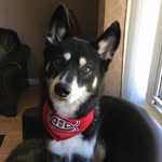 Patsy Rees - @patsyrees1 - Instagram