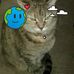Patty Rees - Facebook