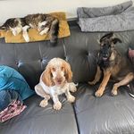 Patsy Regan - @patsy.regan.61 - Instagram
