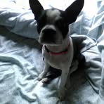 Patsy Rhinehart - Facebook
