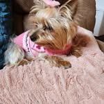 Patsy Rice - @patsy.rice.90475 - Instagram