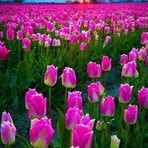 Patsy Richmond - Facebook