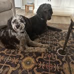 Patty Richmond - Facebook