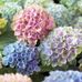 Patsy Riggs - Facebook