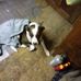 Patsy Riley - Facebook