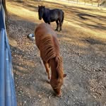 Patsy Riley - @patsyriley64 - Instagram