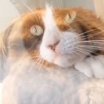 Patsy+Riley - @patsyandrileythesavage - Instagram