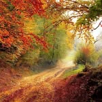 Patsy Rios - @patsy_.rios - Instagram