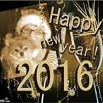 patty rizzo - @pattyr1292a - Instagram