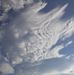 Patty Roark - Facebook