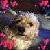 Patsy Robbins - Facebook