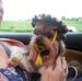 Patsy Robertson - Facebook