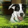 Patsy Robertson Krueger - @patsy.robertson.k - TikTok