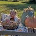 Patsy Rollins - Facebook