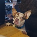 Pat Rutherford - @patsyjr - Instagram
