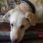 Patsy Ryan - Facebook