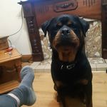 Patsy Ryan - @patsy.ryan.52056 - Instagram