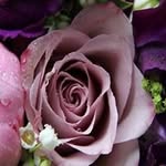 Patsy Sanchez - @patsy.sanchez.961 - Instagram