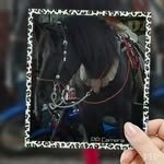 Patsy Sanchez - @patsyrodsanch4 - Instagram