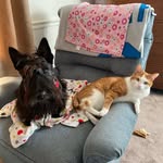 Pat Satterfield - @phsatt - Instagram