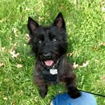 Patsy Schroeder Boehmer - @boehmerpatsy - Instagram