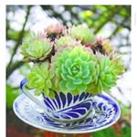 Patsy Sexton - @patsy.sexton.12 - Instagram