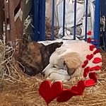 Patsy Shaw - @patsy.shaw.58 - Instagram