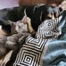 Patty Shaw - Facebook