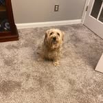 Patsy Simmons Timm - @timmpatsy - Instagram