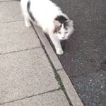 Pat Slater - @pat.slater.5891 - Instagram