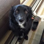 Pat Slaughter - @pwslaught - Instagram