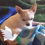 Pat Snider - @pat.snider.7 - Instagram
