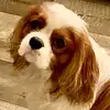 patsysnowden593 - @patsysnowden593 - TikTok