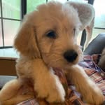 Patsy Stanley - @patsystanley - Instagram