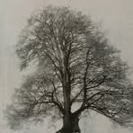 Patsy Steen - Facebook