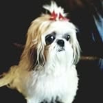 Patsy Steen - @patsy2432.ps - Instagram