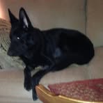 Patsy Riley Swanner - Facebook