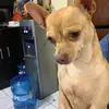 Paty Tatum - @patytatum - TikTok
