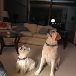 Patsy Trott - @ptrott1301 - Instagram