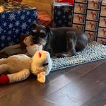 Patsy Tucker - @patsy.tucker.5 - Instagram