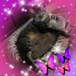 Patsy Vaughan - @patsyvaug - Instagram