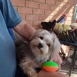 Patsy Walker - @patsy.walker.92 - Instagram