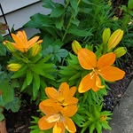 Patsy Walker - @patsy.walker.7771 - Instagram