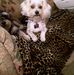 Patsy Walls - Facebook