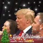 Patsy McConnell-Walsh - @mcconnellwalsh - Instagram
