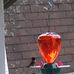 Patsy Walsh - Facebook