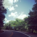 Patsy Walsh - @dathurba - Instagram
