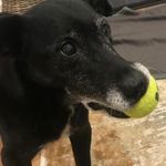 Patsy Watts - @ourlittlepatsy - Instagram