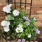 Patsy Weaver - Facebook